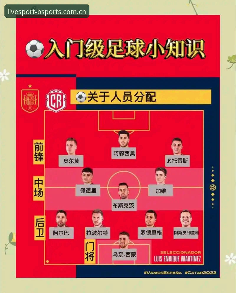 BSports体育世界杯观赛指南：签证危机下的赛事体验操作教程